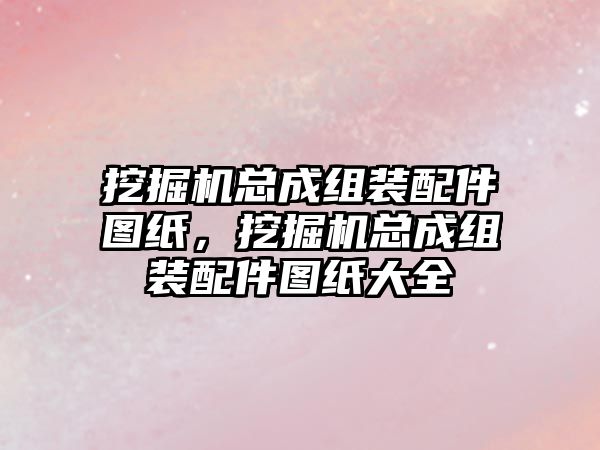 挖掘機總成組裝配件圖紙，挖掘機總成組裝配件圖紙大全