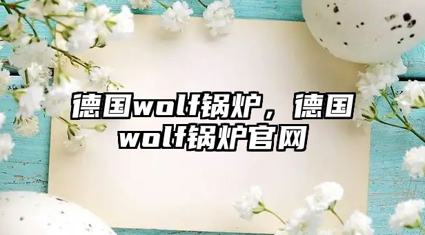 德國(guó)wolf鍋爐，德國(guó)wolf鍋爐官網(wǎng)