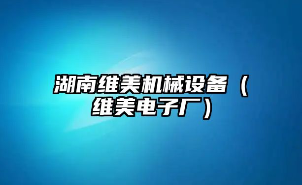 湖南維美機械設(shè)備（維美電子廠）