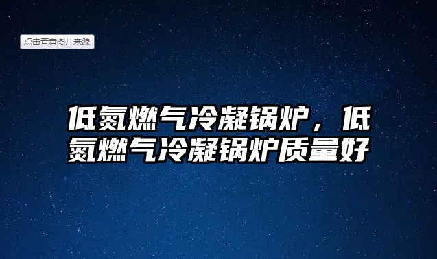 低氮燃?xì)饫淠仩t，低氮燃?xì)饫淠仩t質(zhì)量好