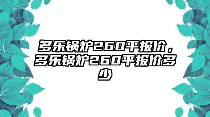 多樂鍋爐260平報價，多樂鍋爐260平報價多少