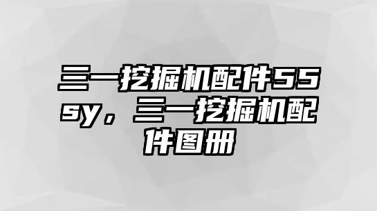 三一挖掘機配件55sy，三一挖掘機配件圖冊