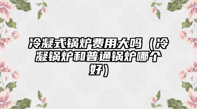 冷凝式鍋爐費(fèi)用大嗎（冷凝鍋爐和普通鍋爐哪個(gè)好）