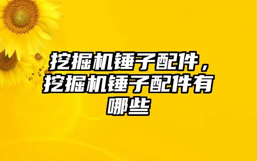 挖掘機錘子配件，挖掘機錘子配件有哪些