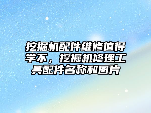 挖掘機配件維修值得學(xué)不，挖掘機修理工具配件名稱和圖片