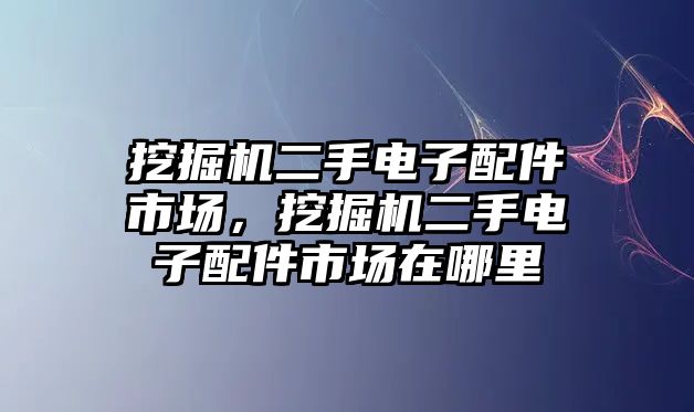 挖掘機二手電子配件市場，挖掘機二手電子配件市場在哪里