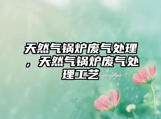 天然氣鍋爐廢氣處理，天然氣鍋爐廢氣處理工藝