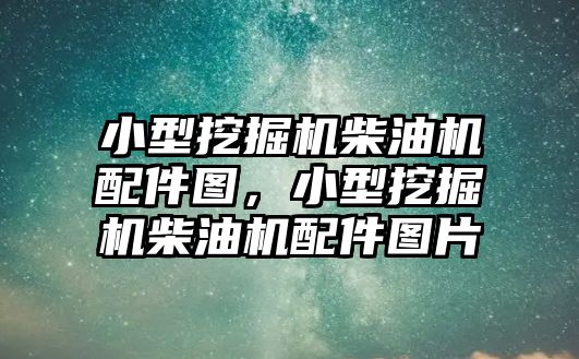 小型挖掘機柴油機配件圖，小型挖掘機柴油機配件圖片