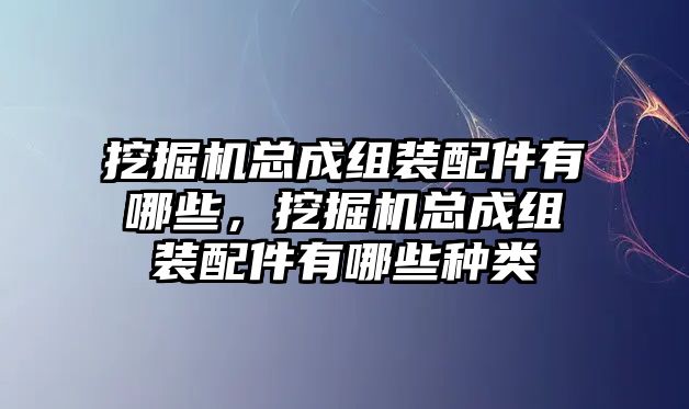 挖掘機總成組裝配件有哪些，挖掘機總成組裝配件有哪些種類