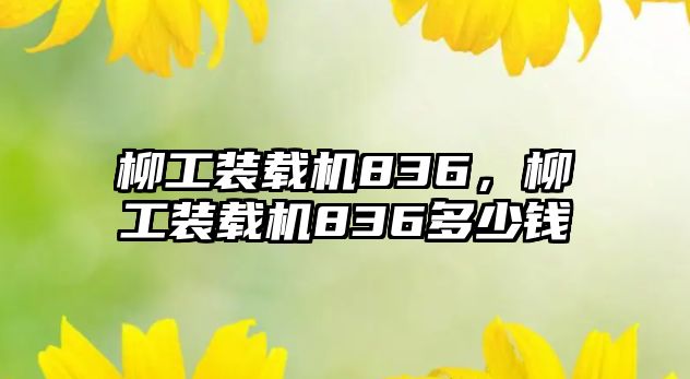 柳工裝載機836，柳工裝載機836多少錢