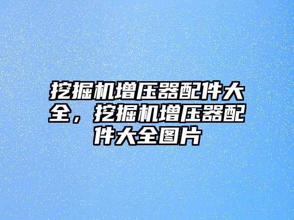 挖掘機增壓器配件大全，挖掘機增壓器配件大全圖片