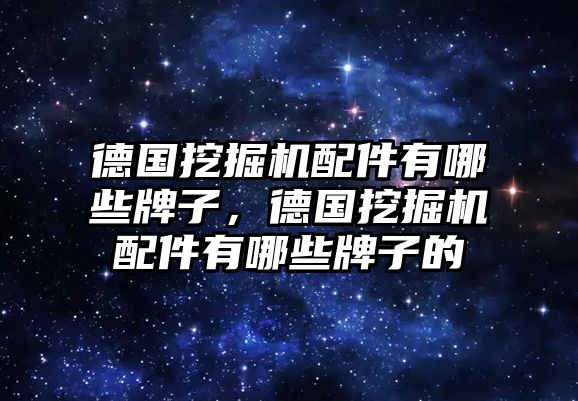 德國(guó)挖掘機(jī)配件有哪些牌子，德國(guó)挖掘機(jī)配件有哪些牌子的