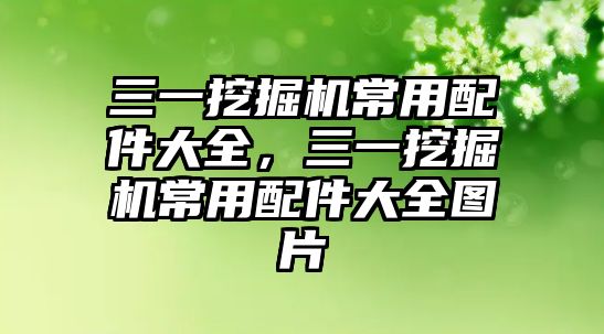 三一挖掘機常用配件大全，三一挖掘機常用配件大全圖片