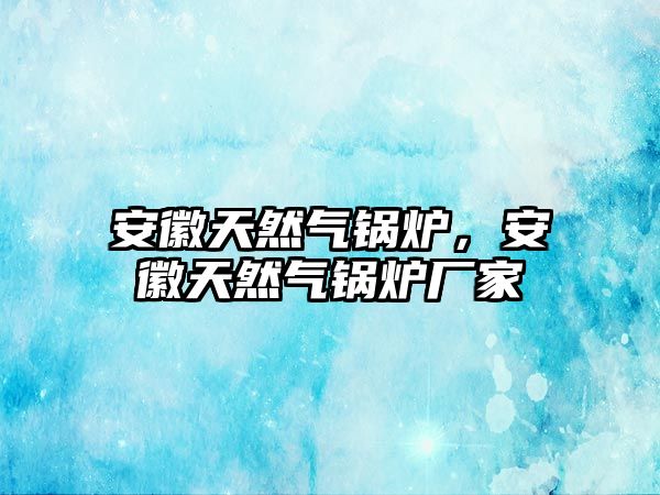 安徽天然氣鍋爐，安徽天然氣鍋爐廠家