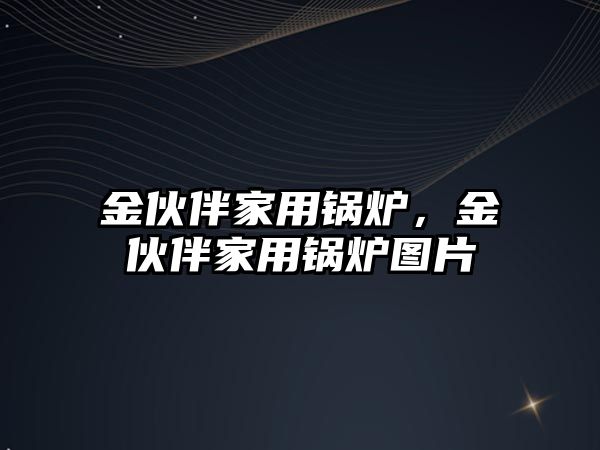 金伙伴家用鍋爐，金伙伴家用鍋爐圖片