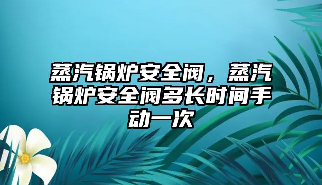 蒸汽鍋爐安全閥，蒸汽鍋爐安全閥多長時間手動一次