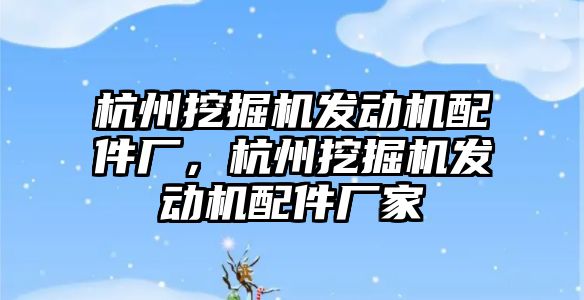 杭州挖掘機發(fā)動機配件廠，杭州挖掘機發(fā)動機配件廠家