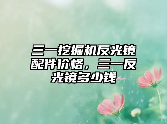 三一挖掘機反光鏡配件價格，三一反光鏡多少錢