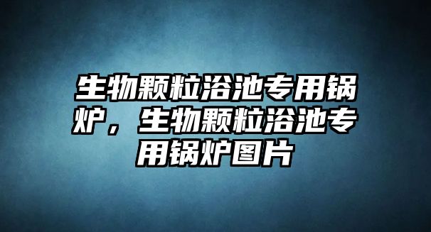 生物顆粒浴池專用鍋爐，生物顆粒浴池專用鍋爐圖片