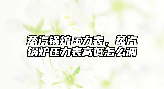 蒸汽鍋爐壓力表，蒸汽鍋爐壓力表高低怎么調(diào)