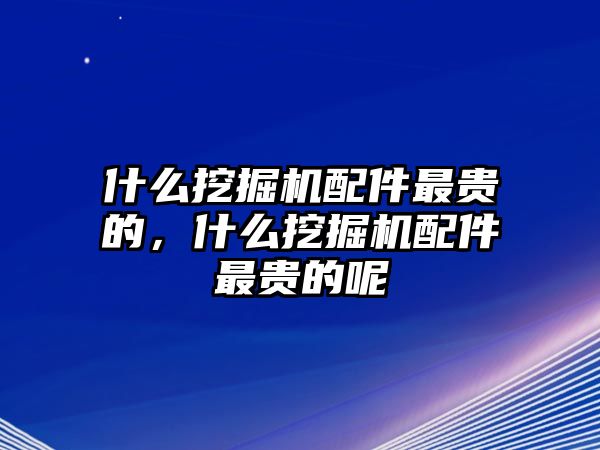 什么挖掘機(jī)配件最貴的，什么挖掘機(jī)配件最貴的呢