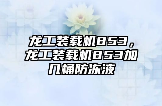 龍工裝載機(jī)853，龍工裝載機(jī)853加幾桶防凍液