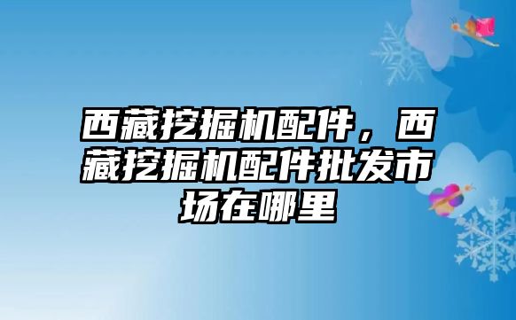 西藏挖掘機配件，西藏挖掘機配件批發(fā)市場在哪里