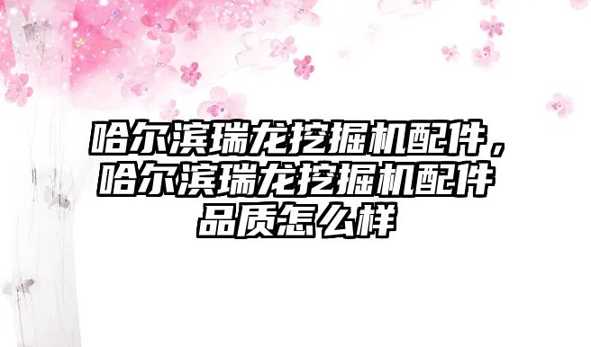 哈爾濱瑞龍挖掘機配件，哈爾濱瑞龍挖掘機配件品質(zhì)怎么樣