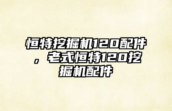 恒特挖掘機(jī)120配件，老式恒特120挖掘機(jī)配件