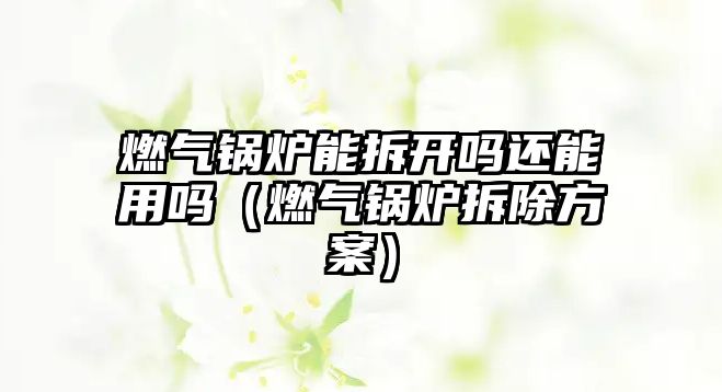 燃?xì)忮仩t能拆開(kāi)嗎還能用嗎（燃?xì)忮仩t拆除方案）