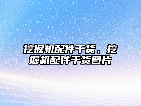 挖掘機配件干貨，挖掘機配件干貨圖片