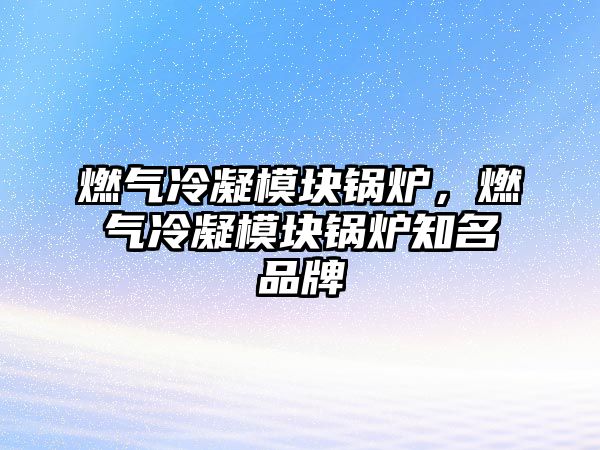 燃氣冷凝模塊鍋爐，燃氣冷凝模塊鍋爐知名品牌