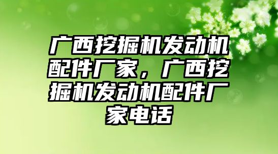 廣西挖掘機發(fā)動機配件廠家，廣西挖掘機發(fā)動機配件廠家電話