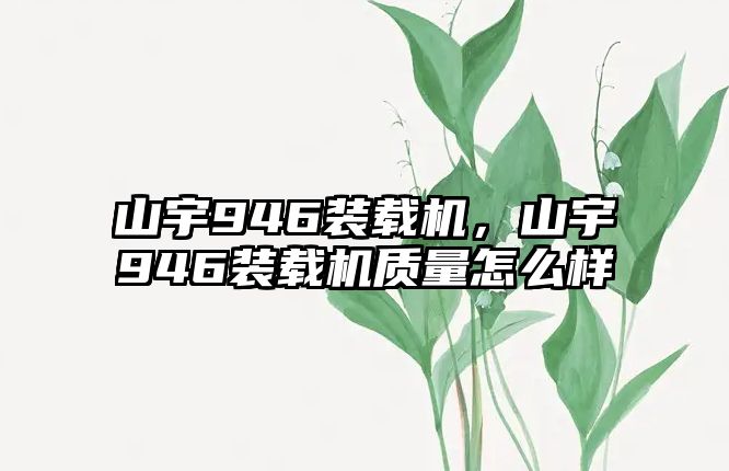 山宇946裝載機(jī)，山宇946裝載機(jī)質(zhì)量怎么樣