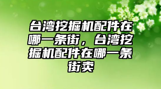 臺灣挖掘機配件在哪一條街，臺灣挖掘機配件在哪一條街賣