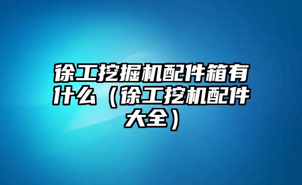 徐工挖掘機(jī)配件箱有什么（徐工挖機(jī)配件大全）