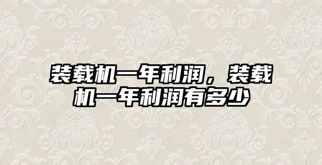 裝載機一年利潤，裝載機一年利潤有多少