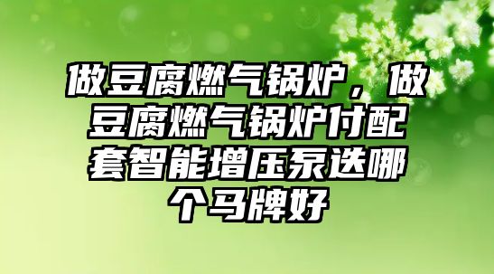 做豆腐燃?xì)忮仩t，做豆腐燃?xì)忮仩t付配套智能增壓泵迭哪個(gè)馬牌好