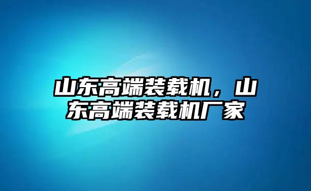 山東高端裝載機，山東高端裝載機廠家