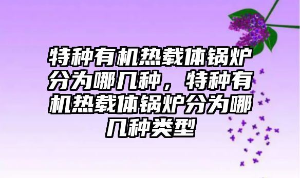 特種有機熱載體鍋爐分為哪幾種，特種有機熱載體鍋爐分為哪幾種類型