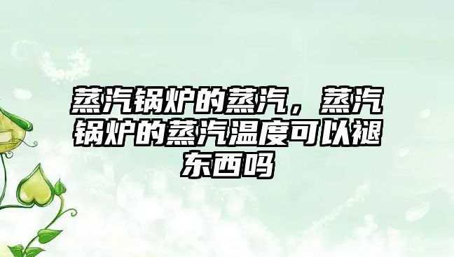 蒸汽鍋爐的蒸汽，蒸汽鍋爐的蒸汽溫度可以褪東西嗎