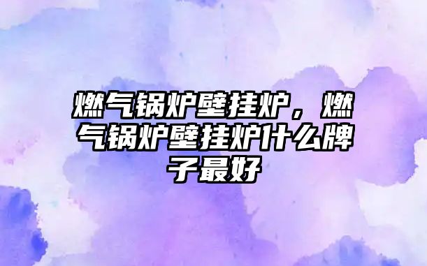 燃?xì)忮仩t壁掛爐，燃?xì)忮仩t壁掛爐什么牌子最好