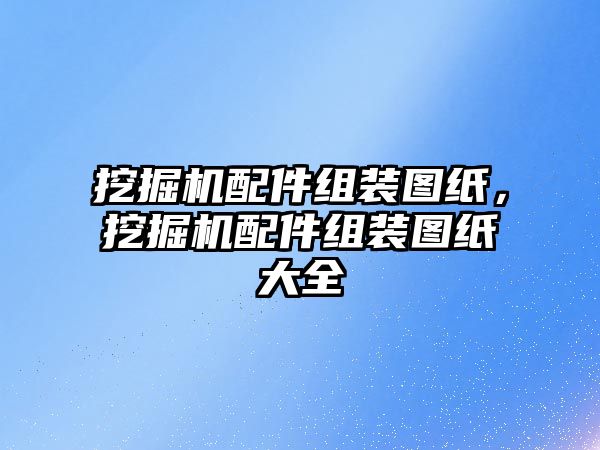 挖掘機配件組裝圖紙，挖掘機配件組裝圖紙大全