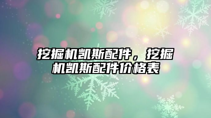 挖掘機(jī)凱斯配件，挖掘機(jī)凱斯配件價格表