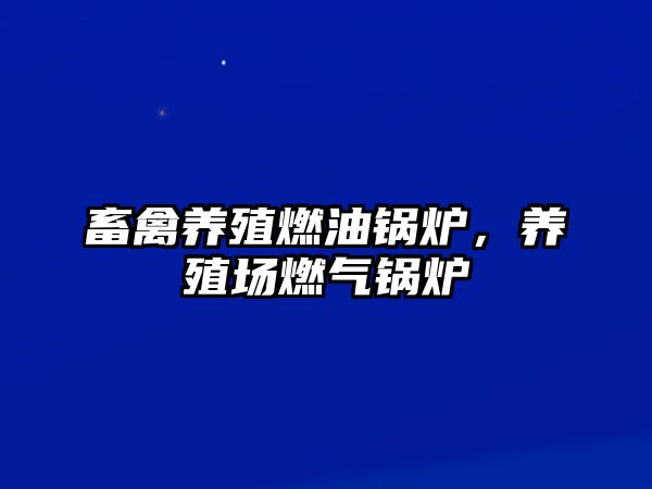 畜禽養(yǎng)殖燃油鍋爐，養(yǎng)殖場(chǎng)燃?xì)忮仩t