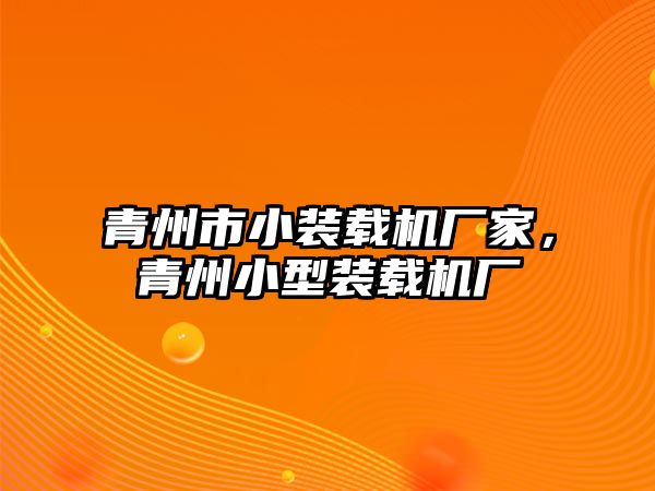 青州市小裝載機(jī)廠家，青州小型裝載機(jī)廠