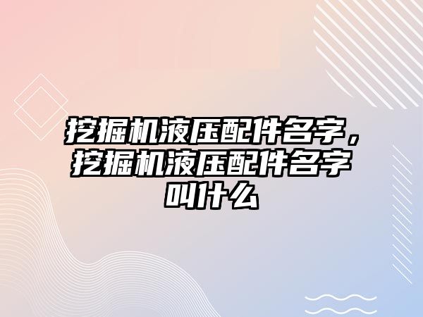 挖掘機液壓配件名字，挖掘機液壓配件名字叫什么