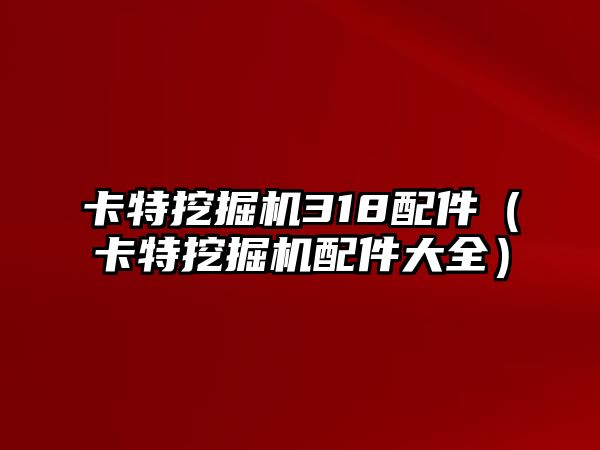 卡特挖掘機(jī)318配件（卡特挖掘機(jī)配件大全）