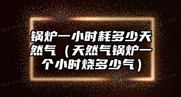 鍋爐一小時(shí)耗多少天然氣（天然氣鍋爐一個(gè)小時(shí)燒多少氣）