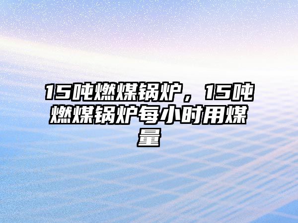 15噸燃煤鍋爐，15噸燃煤鍋爐每小時用煤量